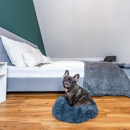 Tonirooms Penthouse Διαμέρισμα Στράουμπινγκ